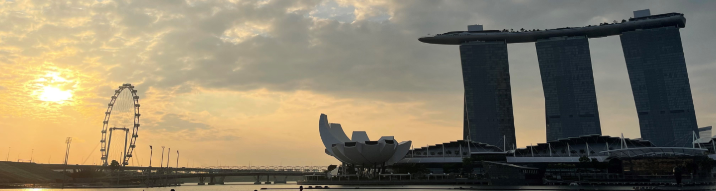 Singapore skyline