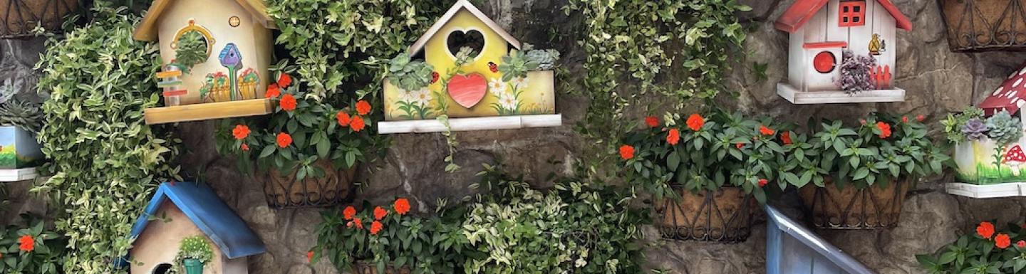 colorful bird houses mounted on a stone wall 