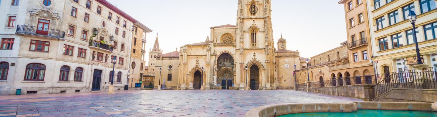 The Cathedral of Oviedo