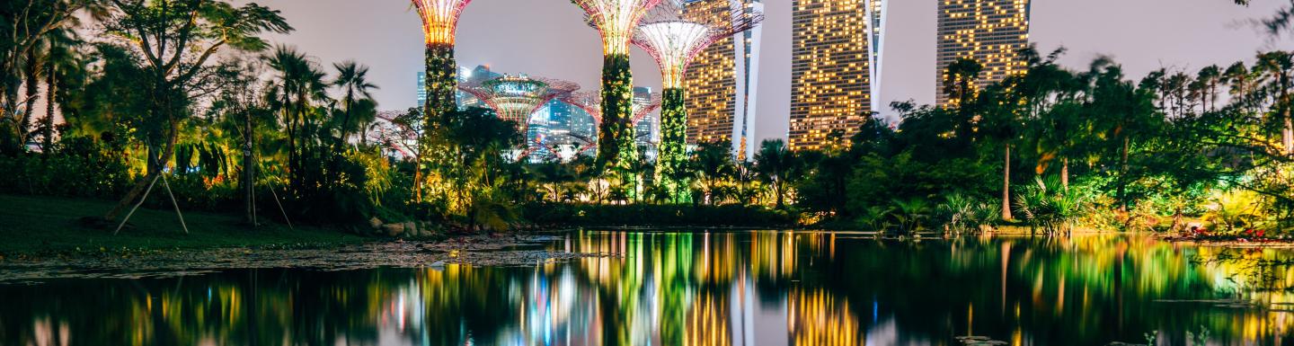 Pond in front of garden towers and high rise hotel