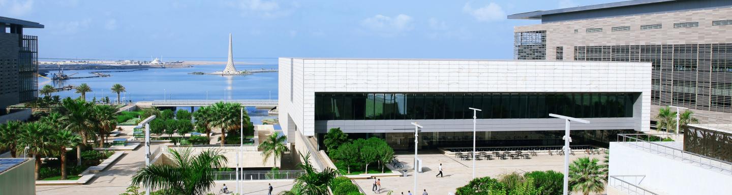 Campus buildings with palm trees in foreground and waterfront in background