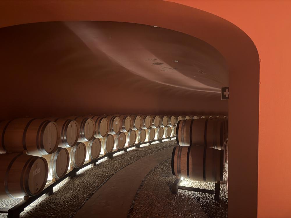 Wine barrels