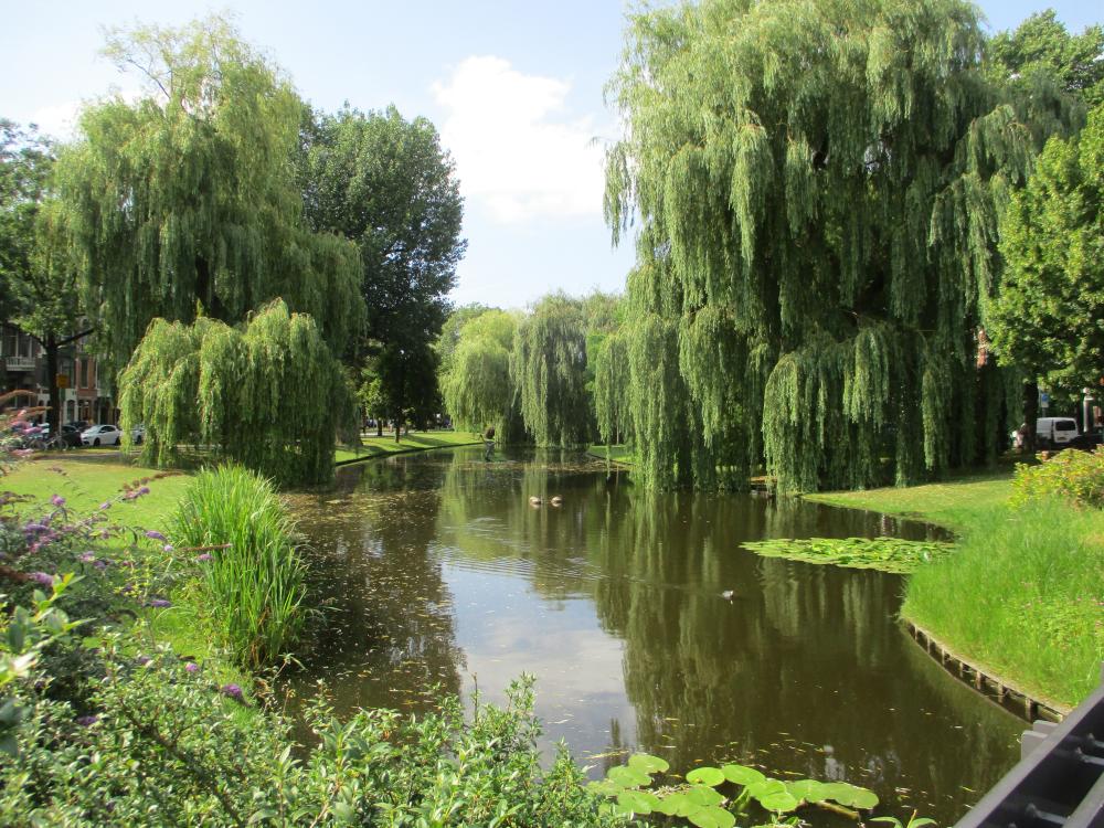 A green garden in Amsterdam 