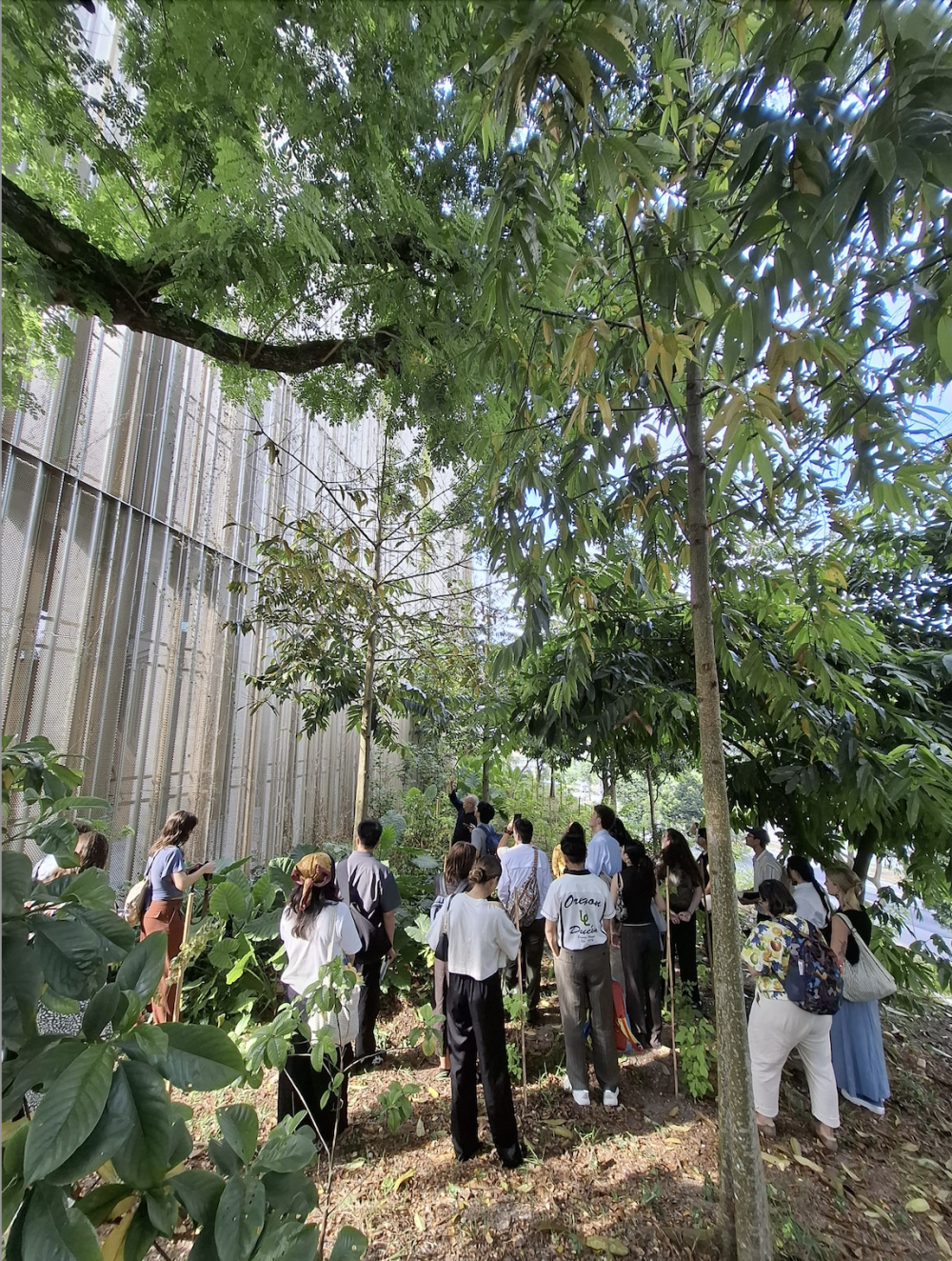 A group of uo students looking at more cool architecture in Singapore