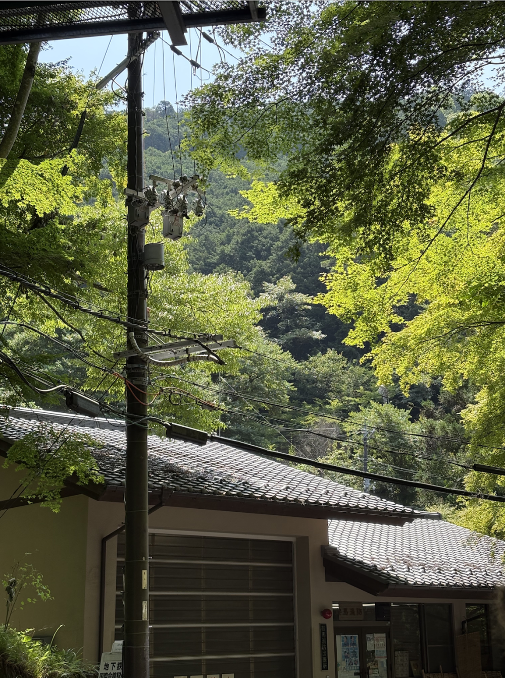 A beautiful nature scene in Kyoto