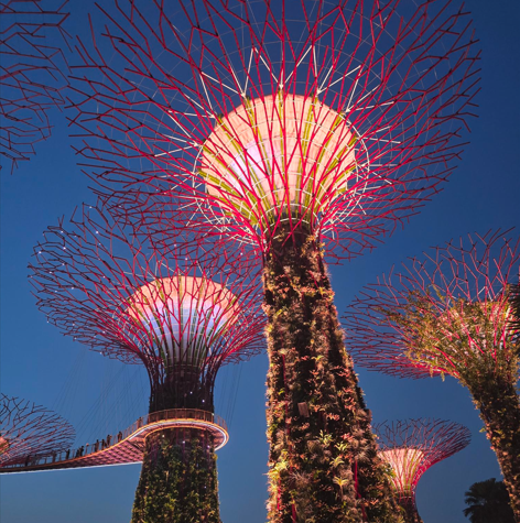 Artificial trees with lights on them