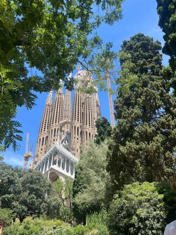 View of Basílica de la Sagrada Família on a sunny day surrounded by trees