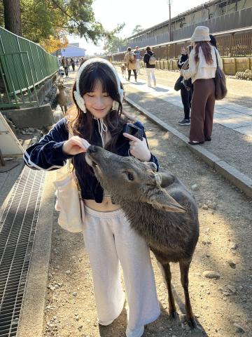 girl feeding deer in nara