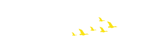 international education month
