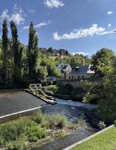Segovia cityscape with trees and a river