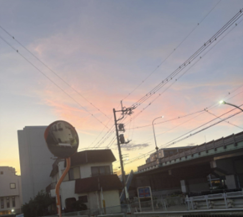 Picture from a train window: the sky is pink and blue, and the shadow of buildings is in the distance
