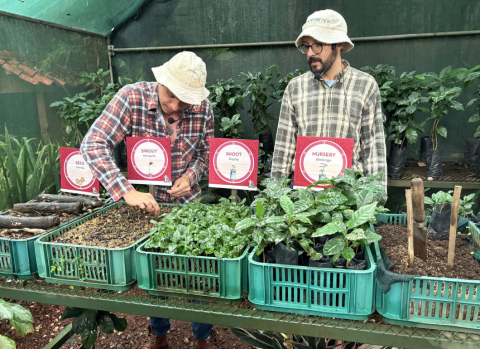 Two people with microphones talk about coffee seeds, sprouts, shoots, and a nursery, all of which are demonstrated in small green baskets in front of them
