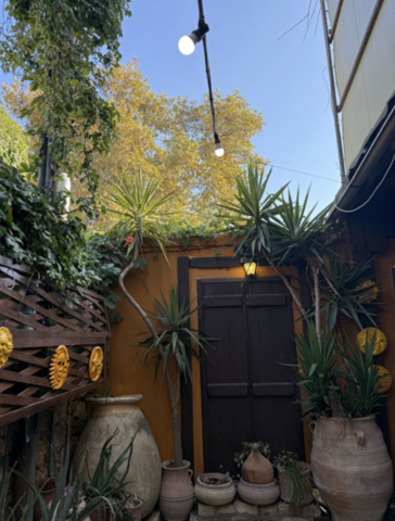 a brown door surrounded by a yellow wall. outside with plants