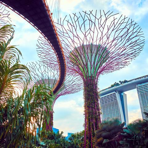 Singapore gardens by the bay