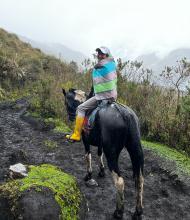 Woman riding a horse along a muddy trail on a rainy day. 