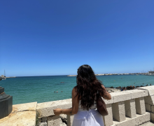 Person overlooking the ocean, standing behind a stone railing.
