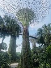 Famous eco architecture in Singapore airport
