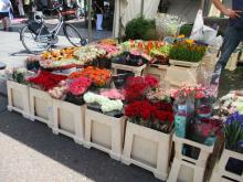 Flowers in a market in Amsterdam