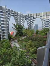 A sky bridge building in Singapore