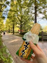 Korean ice cream in the shape of corn