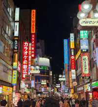 A busy street in Japan