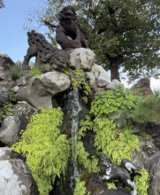 Statues of dragons with a waterfall underneath