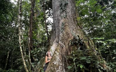 Student Lena Wehn standing next to a tall tree in the Amazon rainforest
