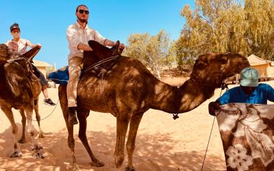 A man rides a camel