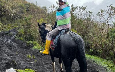 Woman riding a horse along a muddy trail on a rainy day. 