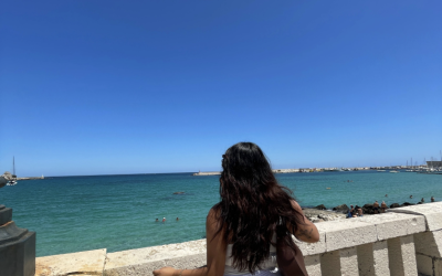 Person overlooking the ocean, standing behind a stone railing.