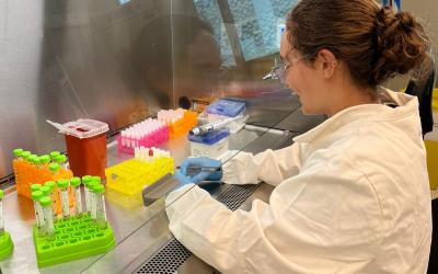 researching as a student