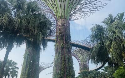 Famous eco architecture in Singapore airport