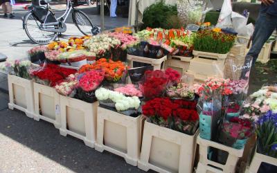 Flowers in a market in Amsterdam