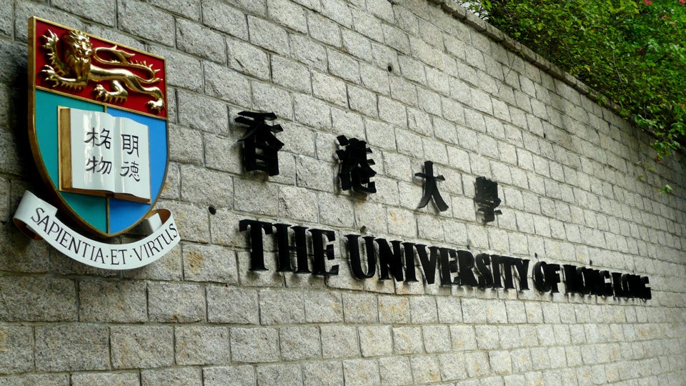 the university of hong kong phd programs